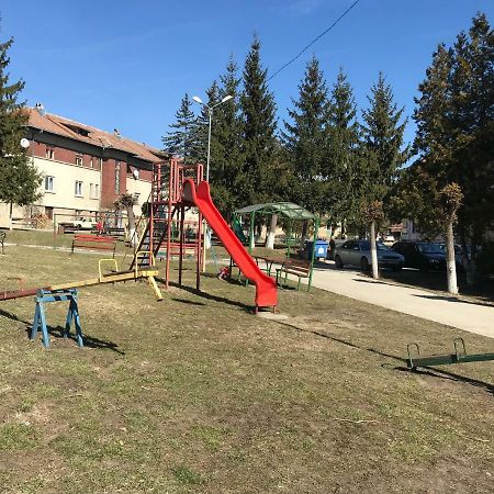 Slănic Garsoniera Mandrilor 아파트 외부 사진
