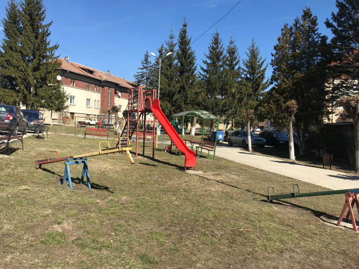Slănic Garsoniera Mandrilor 아파트 외부 사진